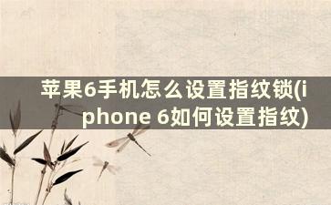 苹果6手机怎么设置指纹锁(iphone 6如何设置指纹)